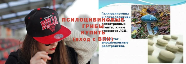 прущие крисы Дмитровск