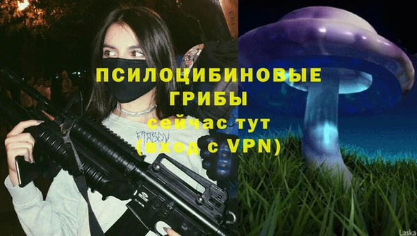 таблы Дмитриев