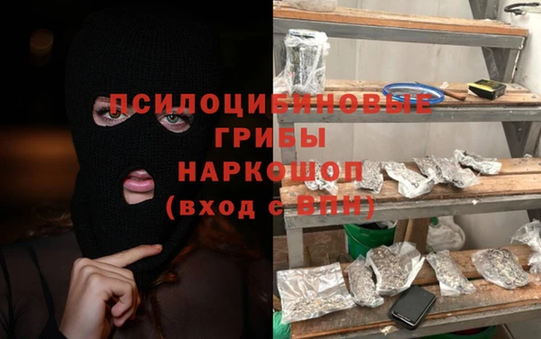 таблы Дмитриев