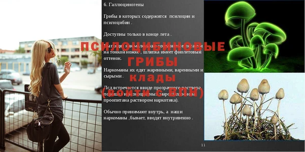 таблы Дмитриев