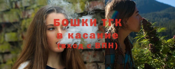 метамфетамин Ельня